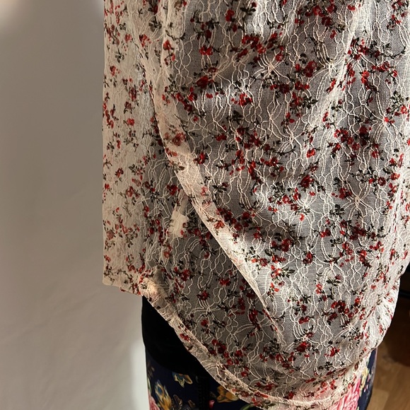 American Rag Pink Mesh Floral Button Down Blouse with Red Flowers - Picture 7 of 10